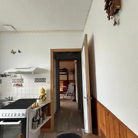 A La Montagne 公寓 Mont-Dore